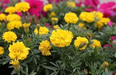 表达美好回忆的句子合集42句