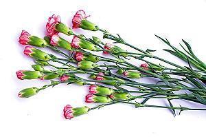 从此不再打扰你的句子汇编35句