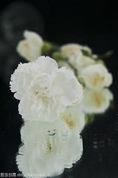 关于永远的爱情句子