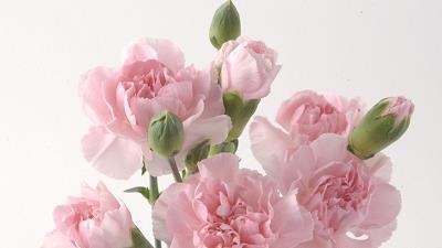 中秋节的优美句子 中秋祝福语言短句