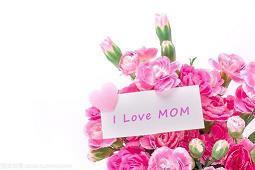 平淡幸福的唯美句子 心境淡然的句子28句