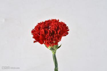 一辈子好好珍惜句子 一辈子很短优美句子48句