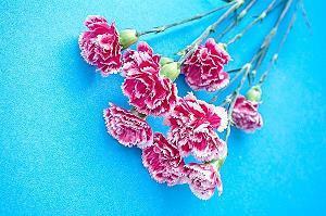 对一老公失望的句子