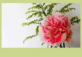 国家公祭日悼念死难者语录句子 南京大屠杀纪念日文案