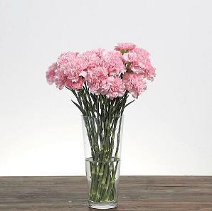 面对挫折的正能量句子