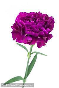 适合发微信的励志句子 正能量早安语录推荐39句