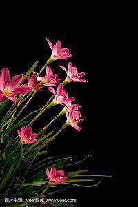 2021情感经典句子88句