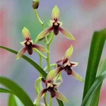 两人在一起的简短句子