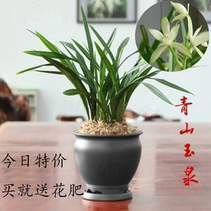 发朋友圈的经典心情短语 励志走心