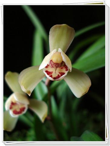 说说句子关于后悔