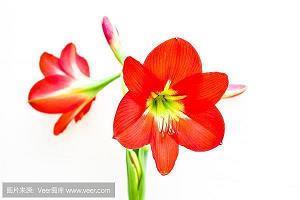 抖音上入心的经典句子 幸福就是寻一温暖的人，度此余生