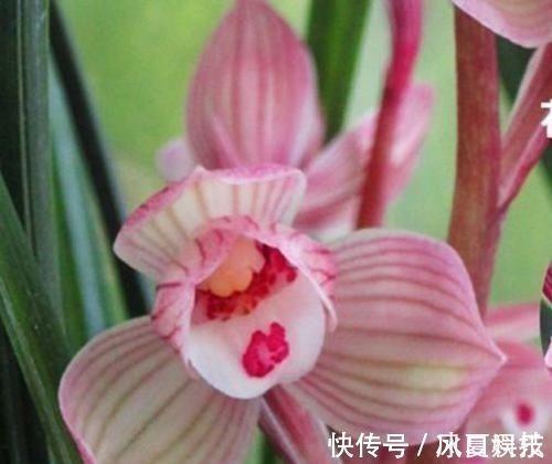 一个人伤感想哭的句子 别撑了，你又不是伞