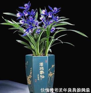 2021幸福的句子83句