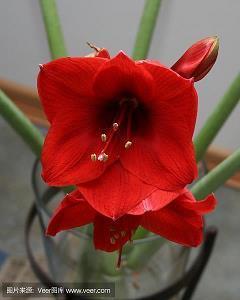 心碎伤害失落的句子说说