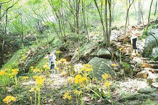 哲理个性签名大全 伤感哲理个性签名汇编55句