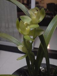 适合抄在摘抄本上的短句大全·集合句子大全语录大全摘抄26句