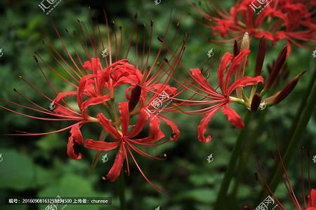 放假带孩子玩的开心的句子