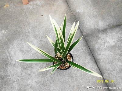 冬天悲伤的说说35句