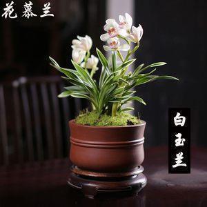 感谢一路有你陪伴句子 感谢一路有你陪伴友情