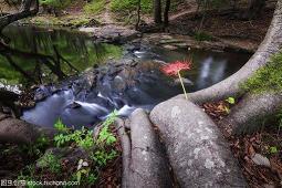 适合长久不发动态的朋友圈的句子