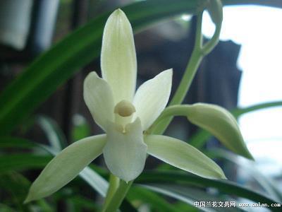 2021教师节给老师的祝福语简短(精选72句)