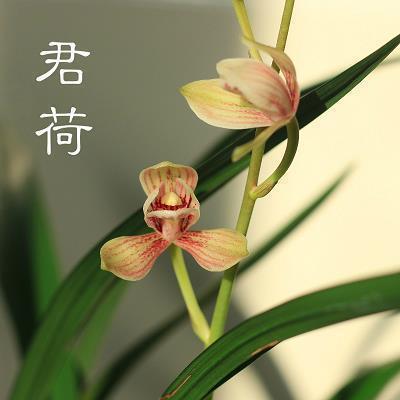 开学第一天加油鼓励的句子(精选64句)