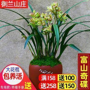 哔哩哔哩个性签名幽默 bilibili有趣的签名
