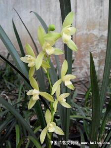 人生格局高度经典语录