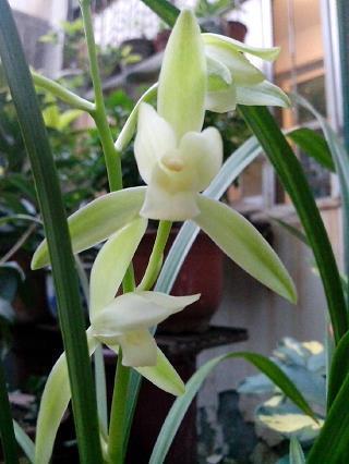 2021年一句话经典