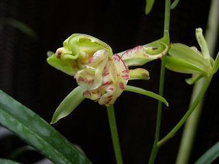 2021简单生活心态的句子汇编68句