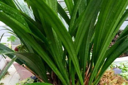 适合晚上发朋友圈的说说 今日晚安语录汇编39句