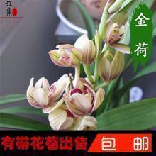 伤心带有爱意的句子