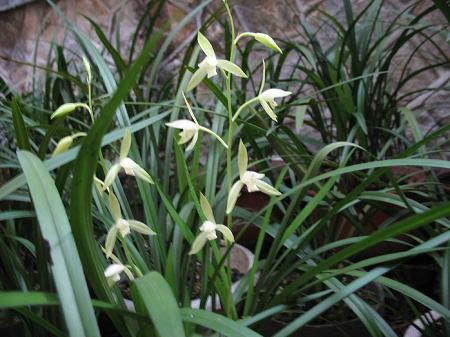 好天气好心情简短唯美句子 天气很好阳光很美句子