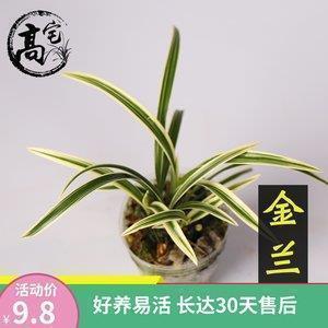 适合2021年发的句子可爱