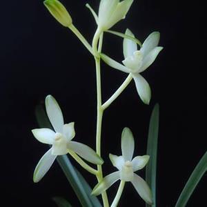 今日冬至朋友圈句子说说