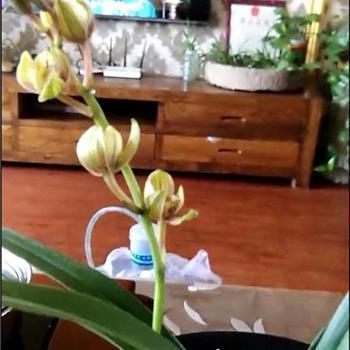 酷酷的滕我爱你大全 酷酷的滕我爱你语录50句