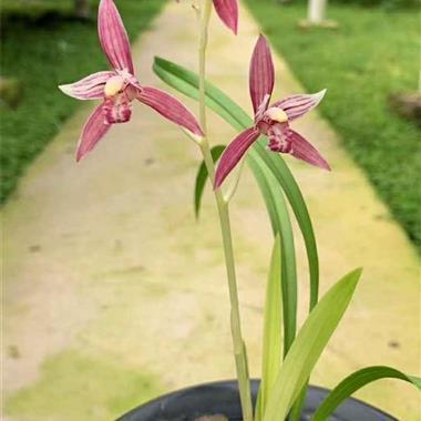 关于清晨的励志句子(85句)