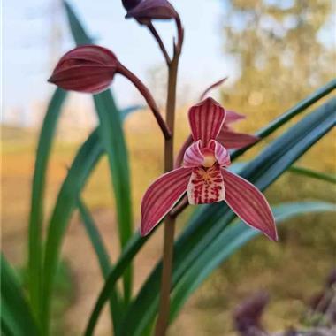 运动的句子励志句子 运动励志的句子(精选38句)