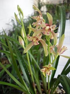 【精华】最新教师节贺卡文字祝福语2021年文案汇编96句