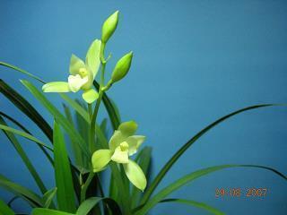 形容想念一个人的句子 特别想念一个人的句子