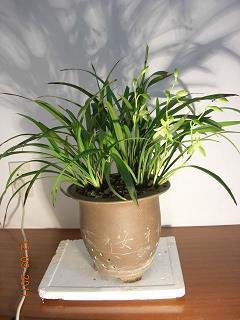平常心态的说说锦集28句