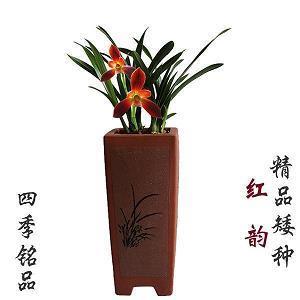 2021母亲节祝福妈妈的话语汇总79句