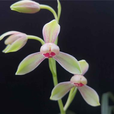 告别7月迎接8月句子(精选27句)