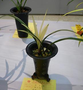 发朋友圈暖心句子82句