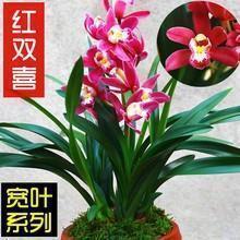 夜晚的霓虹灯闪烁文案句子(精选23句)