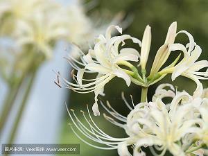 霸气的励志句子(76句)