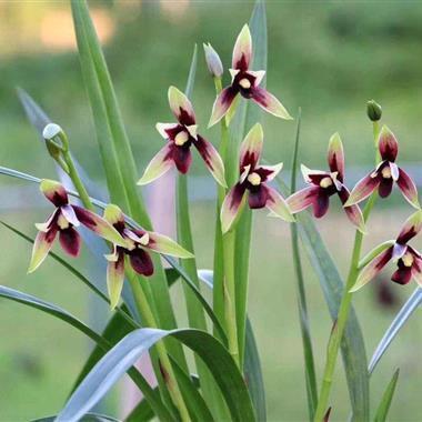 陪你走到最后唯美句子推荐51句