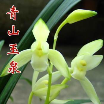 朋友圈悲伤难过的说说短句子集合19句