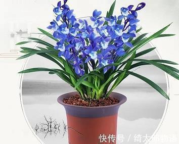 伤感文艺说说50句
