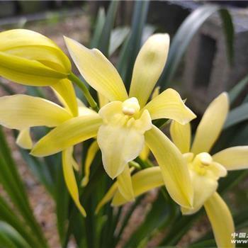 适合发朋友圈的简单句子 晚安心灵语录摘抄26句